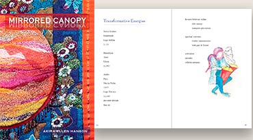 Mirrored Canopy book cover