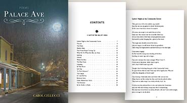 Palace Ave book cover