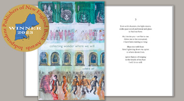 collecting wonder where we will book cover