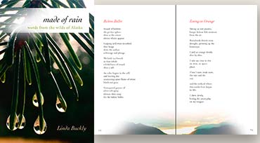 Made of Rain book cover